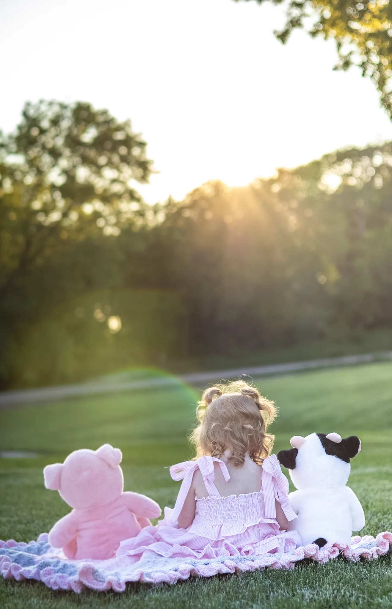 Young child seated with teddy bears in a sunlit field.